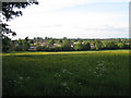 Meadow south of Fieldgate Lane