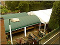 Canopies in the Victoria Hotel garden