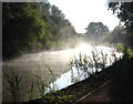 SO8857 : Early morning mist on the Worcester & Birmingham Canal by Rod Allday