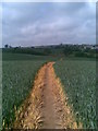 Footpath to Grimscote