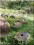 SK2479 : Millstones by the track, Bolehill Quarry (Lawrencefield) by Karl and Ali