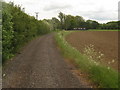 Track to Lower Park Farm