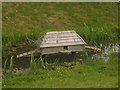 Duck House near Lower Park Farm