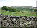 The footpath to Tarn Brow