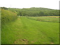 Saxon Shore Way to Blackthorn Wood