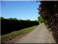 Unclassified road near Arches Hall, Standon