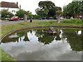 Duck pond by School Road Wisborough Green