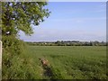 N9558 : Landscape, Co Meath by C O'Flanagan