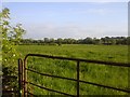 N9557 : Landscape, Co Meath by C O'Flanagan