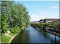 The Newry Canal from Ballybot Bridge