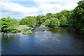 Afon Dyfrdwy from the road bridge