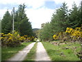 Lane from Cairneywhin