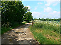 Minor road towards Charlton, near Hinton Airfield