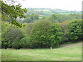 View from the Pengelli Forest Nature Reserve