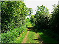 SP4730 : Further down the bridleway from Clifton Road, Clifton by Brian Robert Marshall