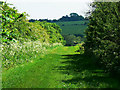 A tighter view even further down the bridleway from Clifton Road, Clifton