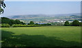 Field below Hollingworth Hall Farm