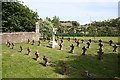 Graveyard at the Convent of Mercy