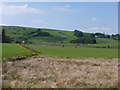 Fields near Llwynygog