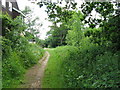 Path section of The Luth at Wisborough Green