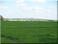 Warwickshire farmland