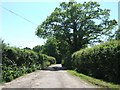 Entrance road to Deer Park Hotel, Weston, near Honiton