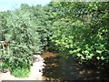 River Otter, Weston, near Honiton