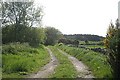 NO7097 : Track off Lochton of Leys road (June) by Stanley Howe
