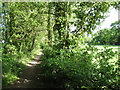 Bridleway heading for the Fosse Way