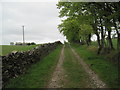 Footpath and Track to Carnetley