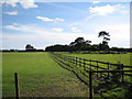 Tree screen to Leamington Hall Farm