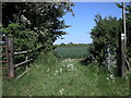 Southam-Tomlow Bridleway