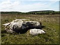 NT9737 : Boulder south of Goatscrag Hill by Andrew Curtis