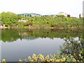 Rubislaw Quarry with Chevron Offices behind