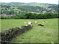 Across the Holme Valley