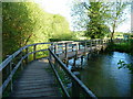 Wherwell - Westmill Bridge