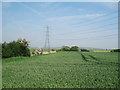 Cropfield near to Knackball Cottages