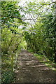 Coastal path through Pelhamfield