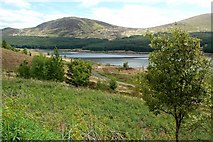 NX4895 : Loch Doon View by Mary and Angus Hogg