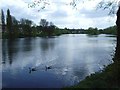 Brookvale Boating Lake / Pool