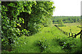 Path along the edge of Lower Saline Wood