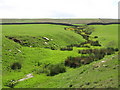 The cleugh of a minor tributary of Rookhope Burn near Wolf Cleugh Farm