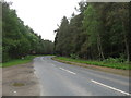 Minor road heading through the woods to Inchbare