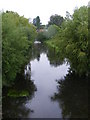 TG1508 : River Yare, Bawburgh by Geographer