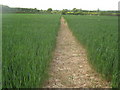 Footpath towards Sevington Bridges