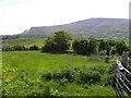 Ballynareela Townland