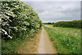 Footpath to Burniston Rd