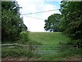 Field near Shute End