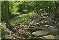 Dry stone wall and path on Hangingstone Hills