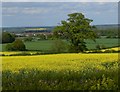 Countryside south of Loughborough